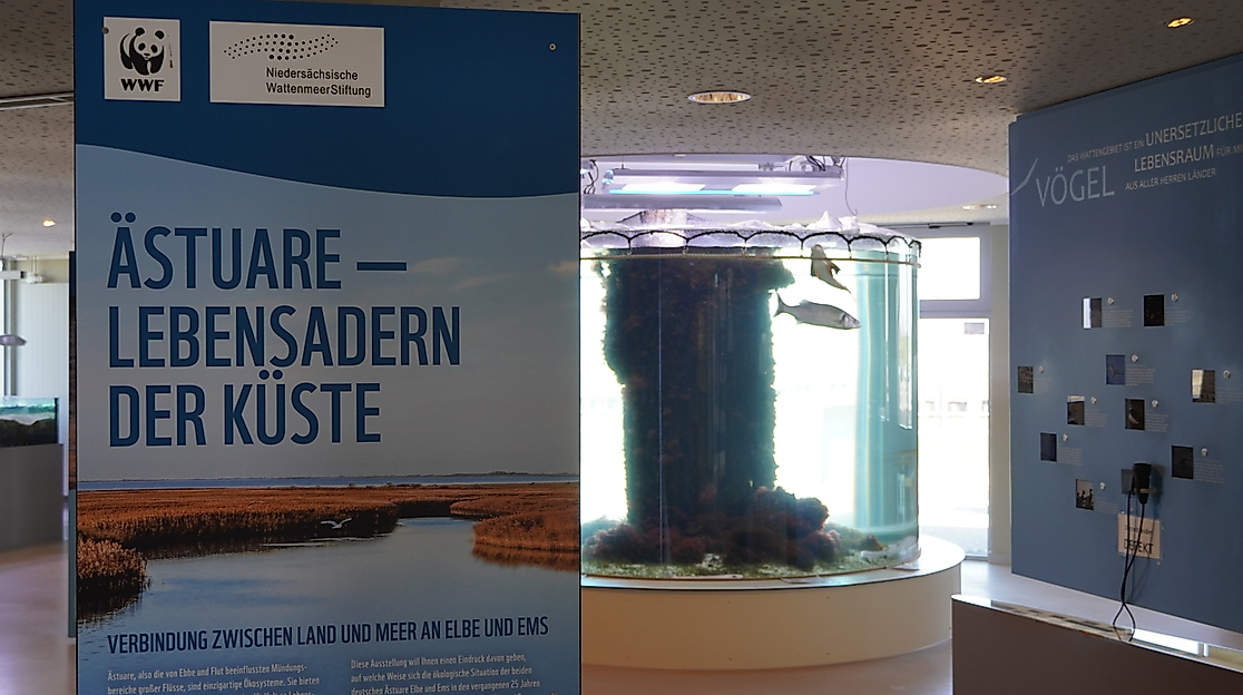 Sonderausstellung: Ästuare-Lebensraum der Küste!